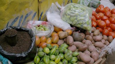 Brewing Up Cassava as a Cash-Crop in Mozambique