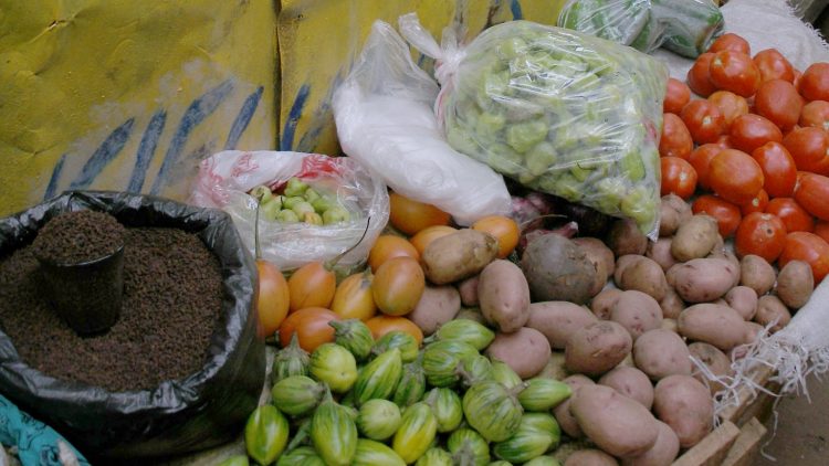Brewing Up Cassava as a Cash-Crop in Mozambique